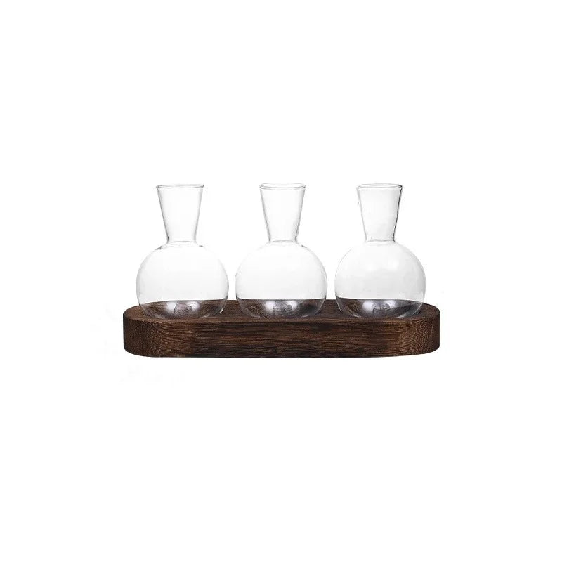 Serene Glass Plant Propagation Terrarium