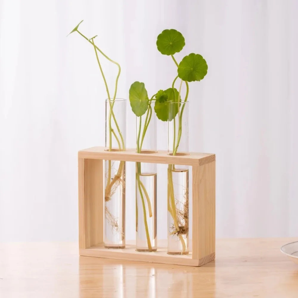 Glass Propagation Vase Set 🌿
