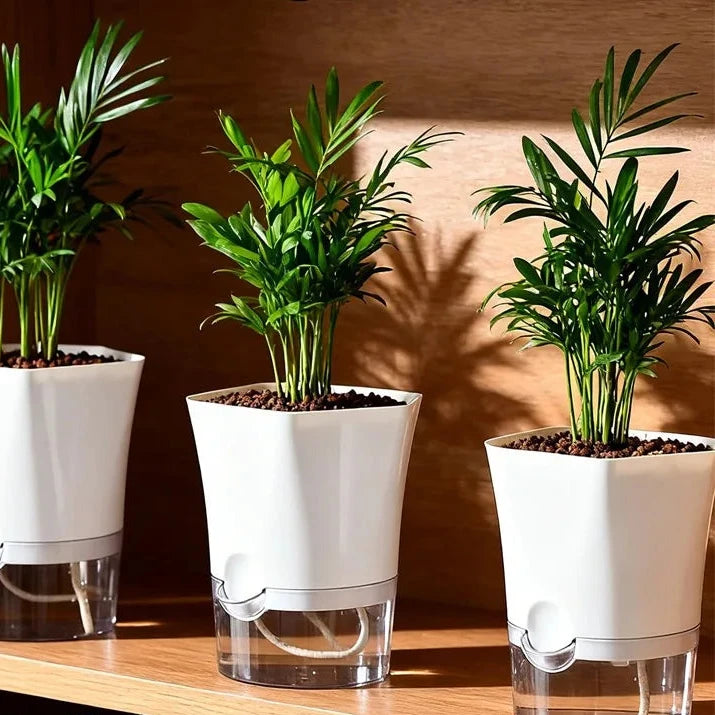 Serene Self-Watering Plant Pot