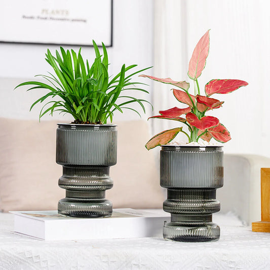 Self-Watering Serenity Planter