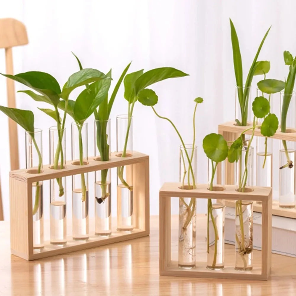 Glass Propagation Vase Set 🌿