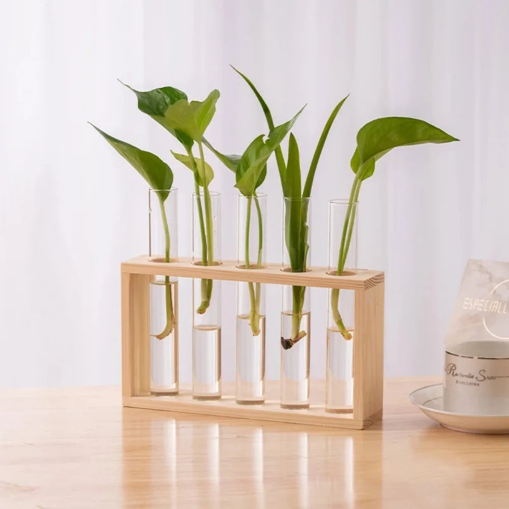 Glass Propagation Vase Set 🌿