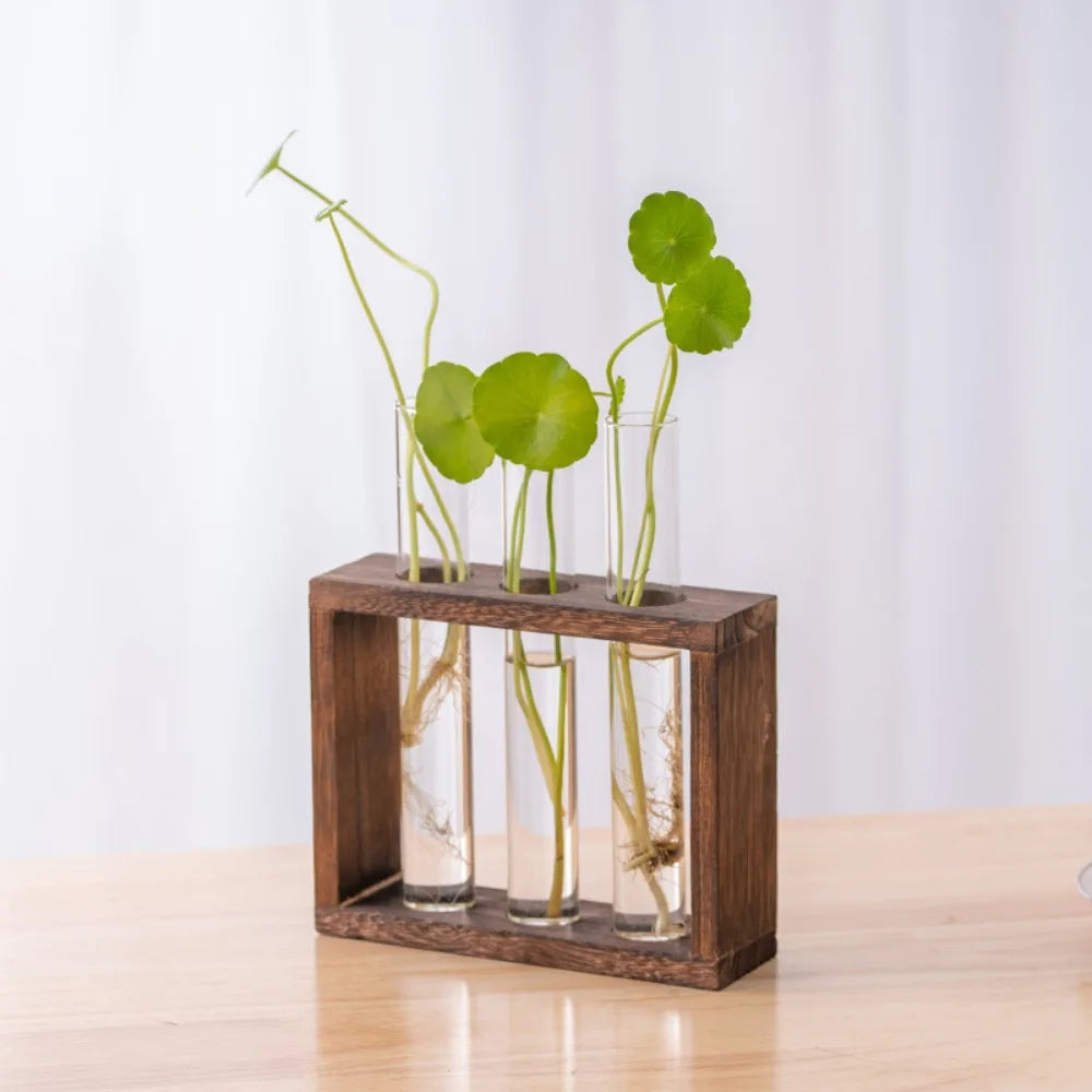 Glass Propagation Vase Set 🌿