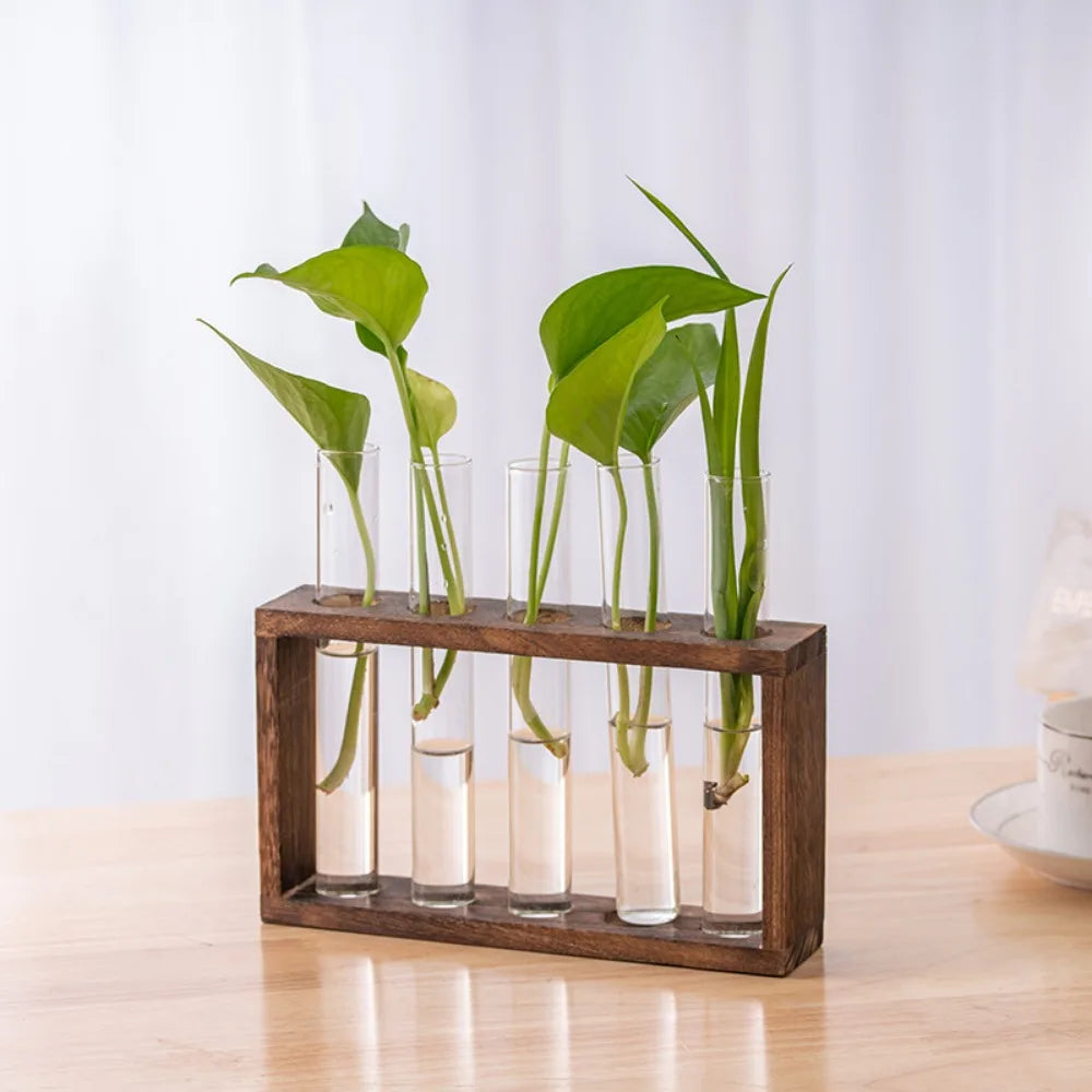 Glass Propagation Vase Set 🌿