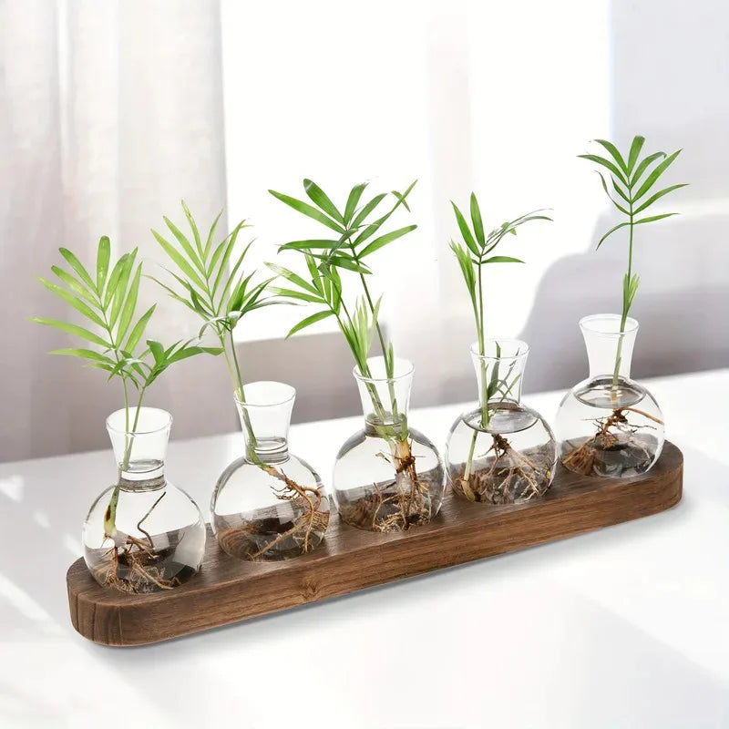 Serene Glass Plant Propagation Terrarium