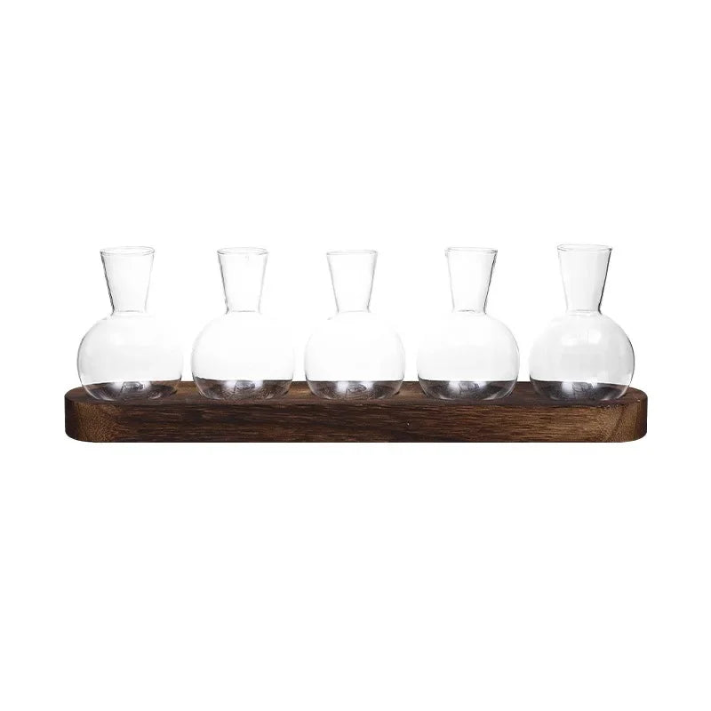 Serene Glass Plant Propagation Terrarium